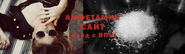 прущие грибы Карпинск