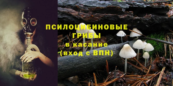 прущие грибы Карпинск