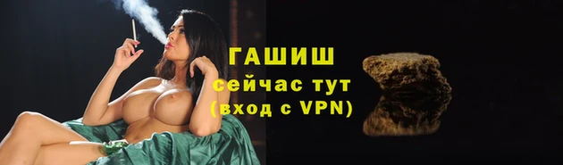 прущие грибы Карпинск