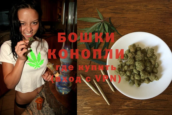 прущие грибы Карпинск