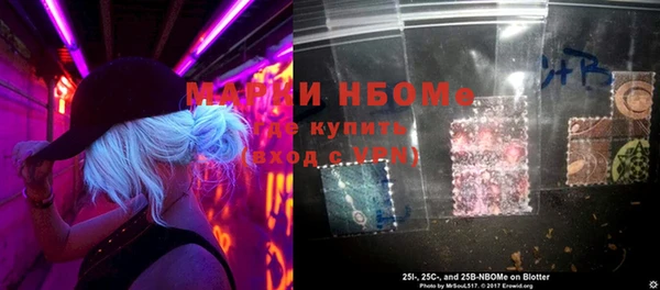 прущие грибы Карпинск