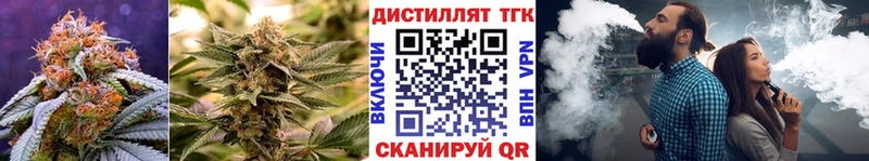 Купить  Власиха  Дистиллят ТГК гашишное масло 