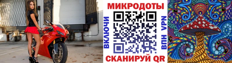 Псилоцибиновые грибы Cubensis  Купить закладки  Власиха 